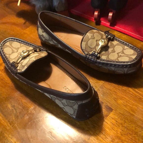 Shoes - Picture 1 of 1